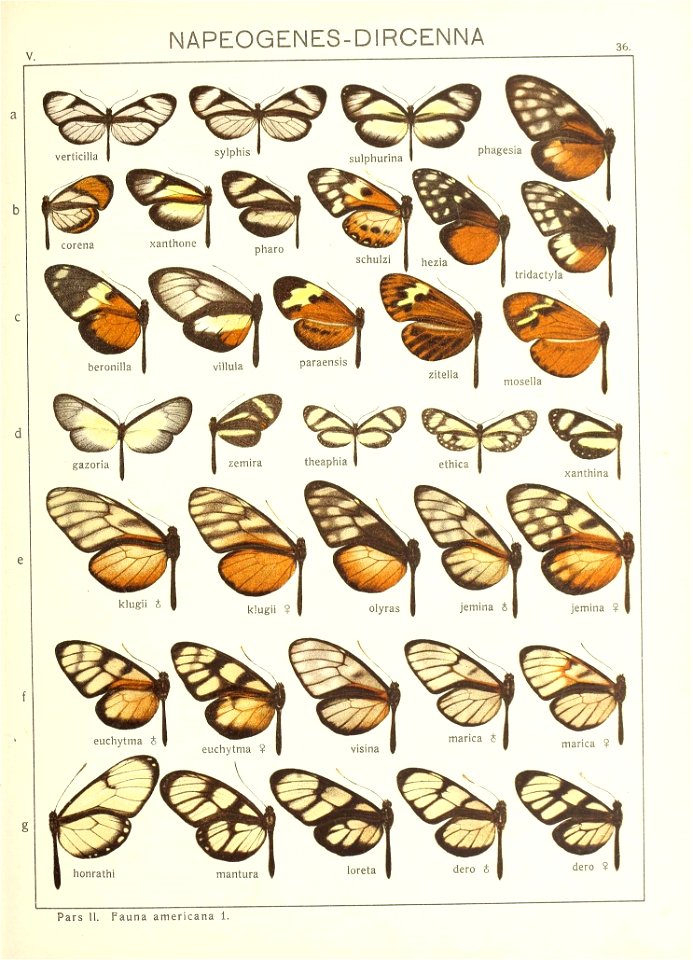 n82_w1150