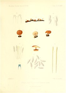 n140_w1150