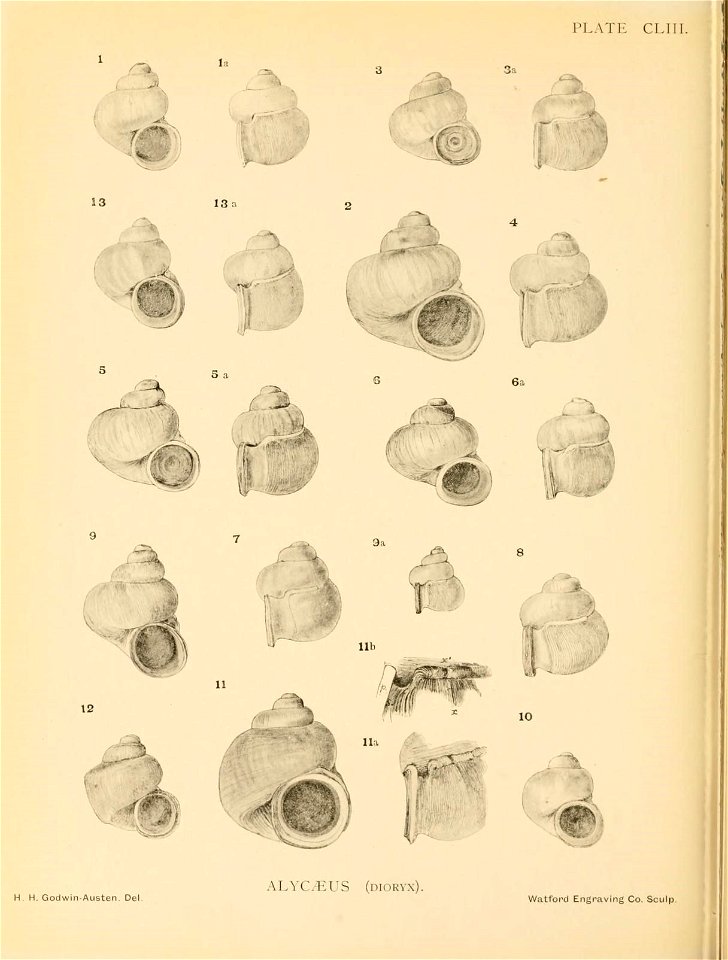 n385_w1150