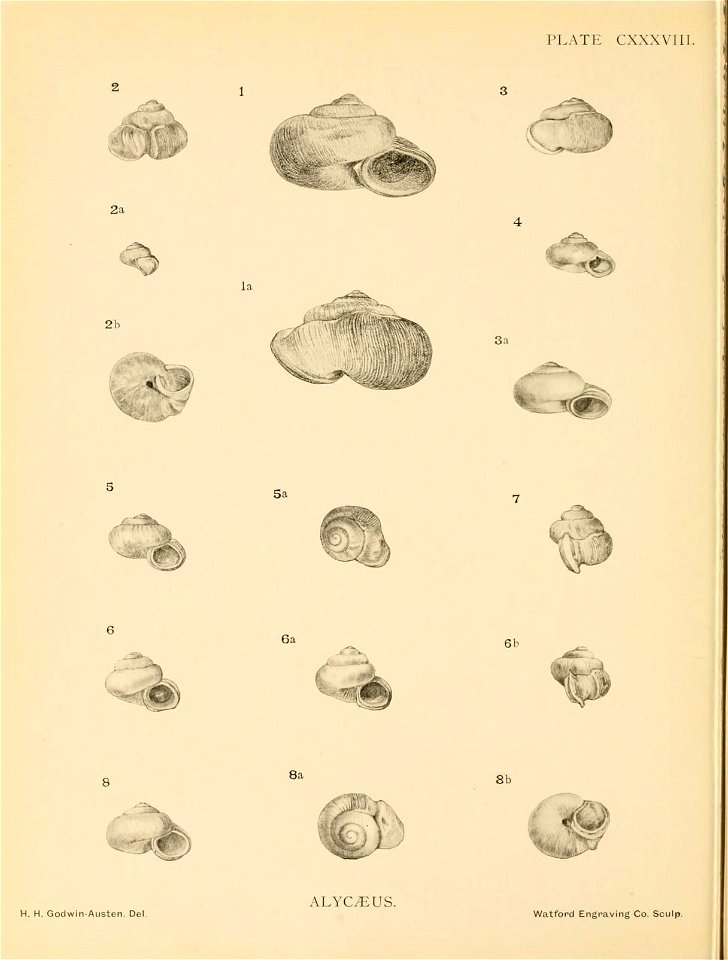 n327_w1150