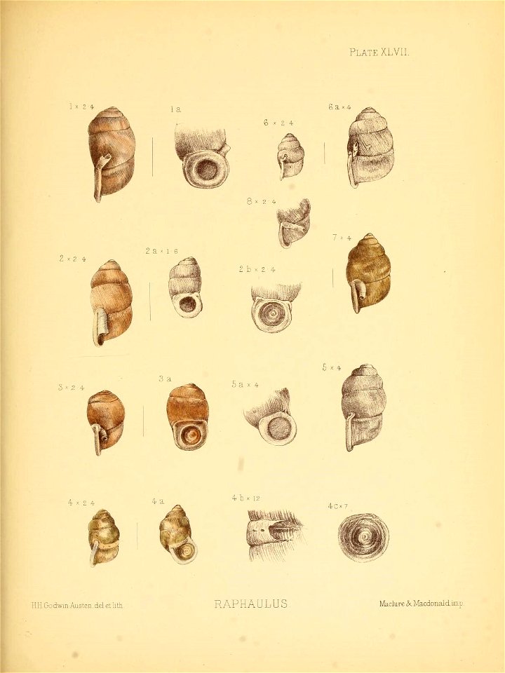 n192_w1150