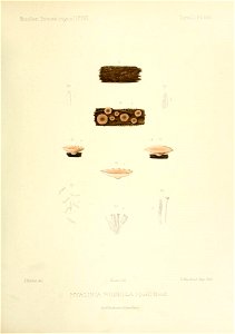 n106_w1150
