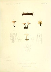 n46_w1150
