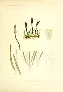 n16_w1150