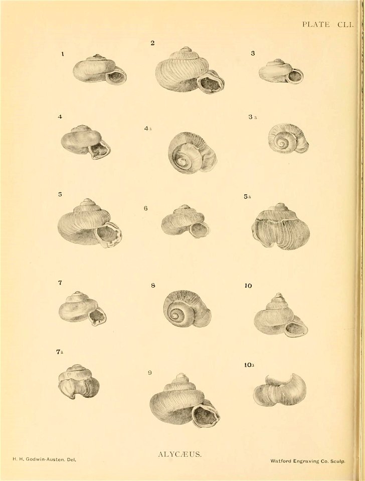 n377_w1150