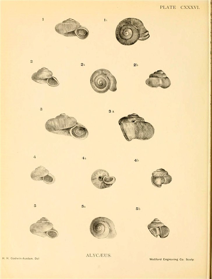 n319_w1150