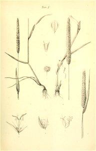 n694_w1150