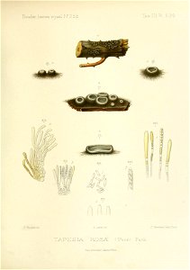 n254_w1150