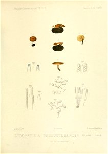 n134_w1150