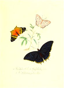 n158_w1150