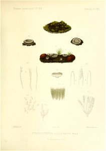 n282_w1150
