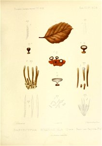 n192_w1150