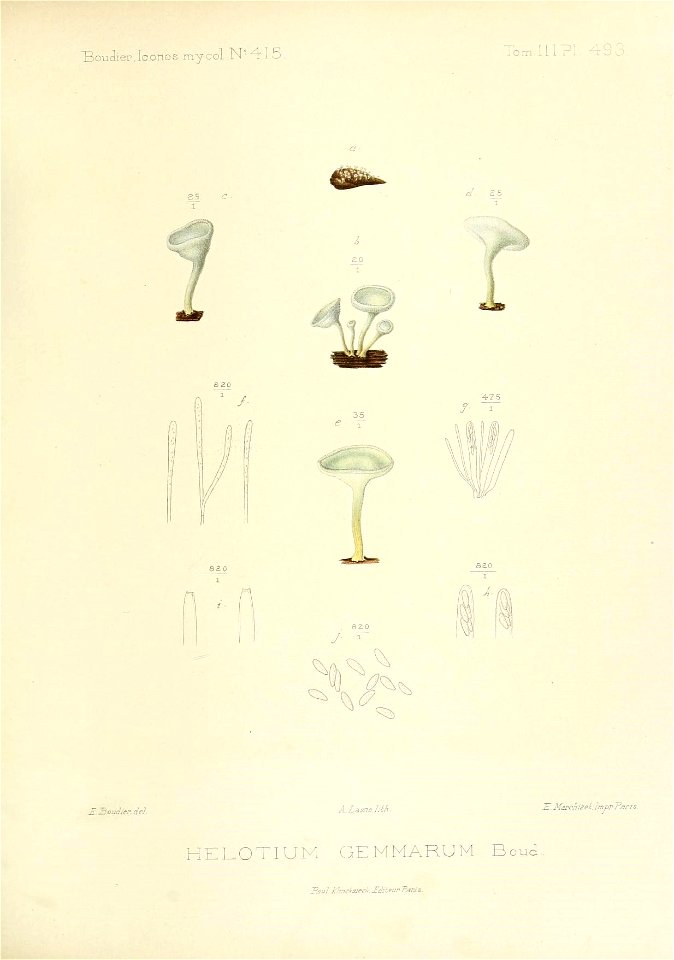 n162_w1150