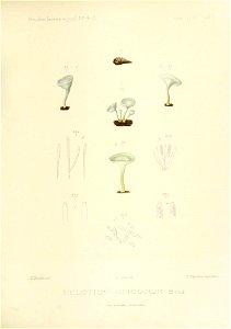 n162_w1150
