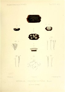 n102_w1150