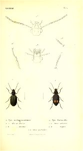n20_w1150