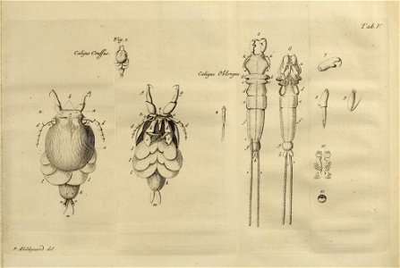 n504_w1150