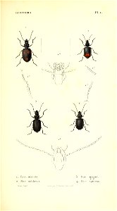 n16_w1150