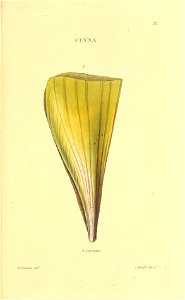 n290_w1150