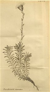 n508_w1150