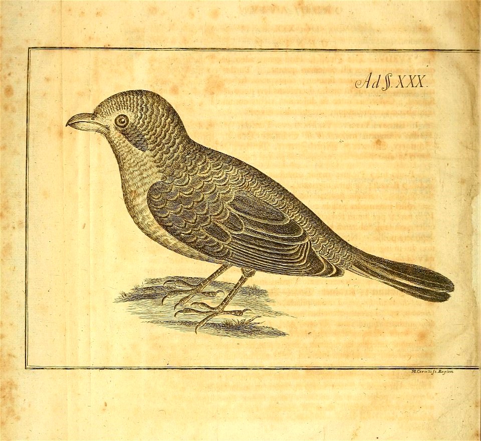 n89_w1150