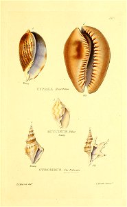 n316_w1150