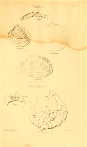 n286_w1150