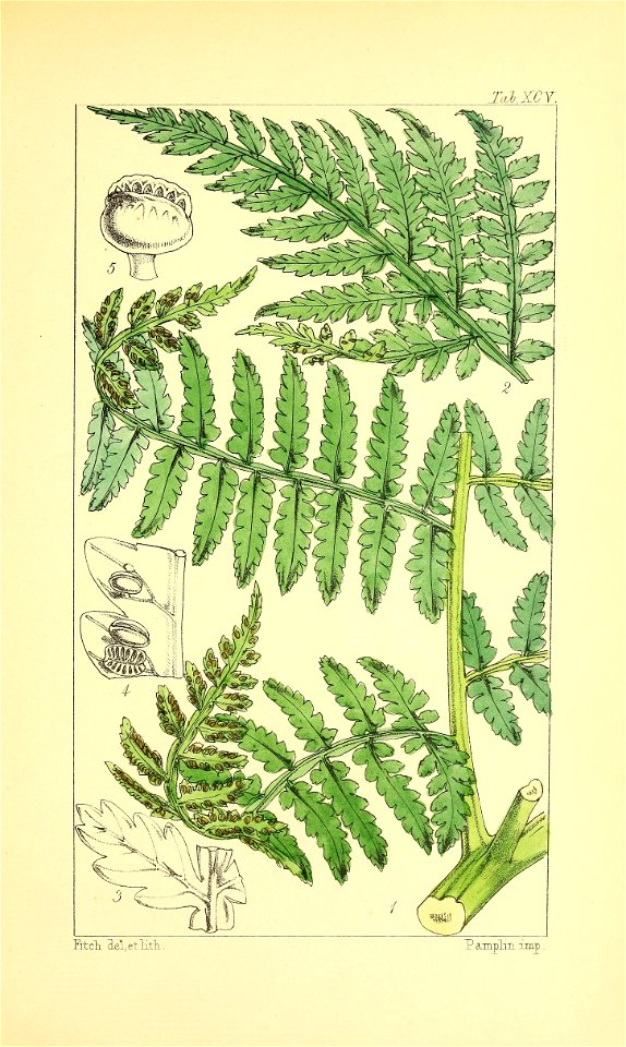 n402_w1150