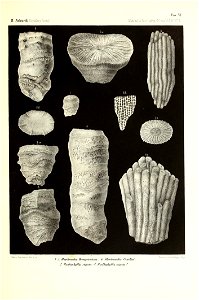 n42_w1150