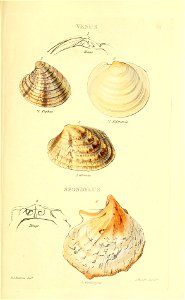 n282_w1150