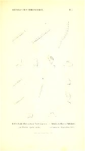 n66_w1150
