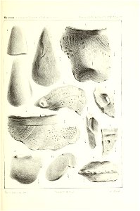 n160_w1150