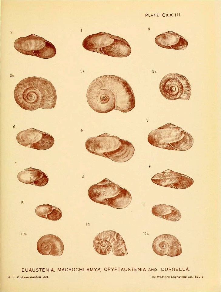n268_w1150