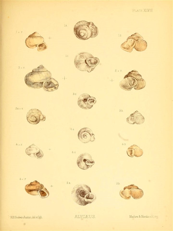 n196_w1150