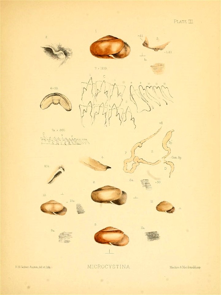 n16_w1150