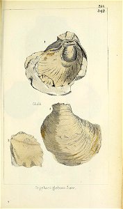 n576_w1150