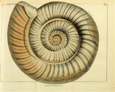n442_w1150