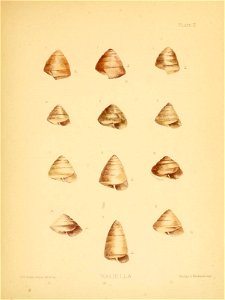 n12_w1150
