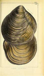 n574_w1150