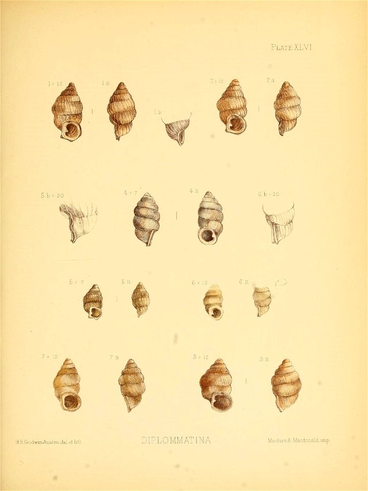 n188_w1150