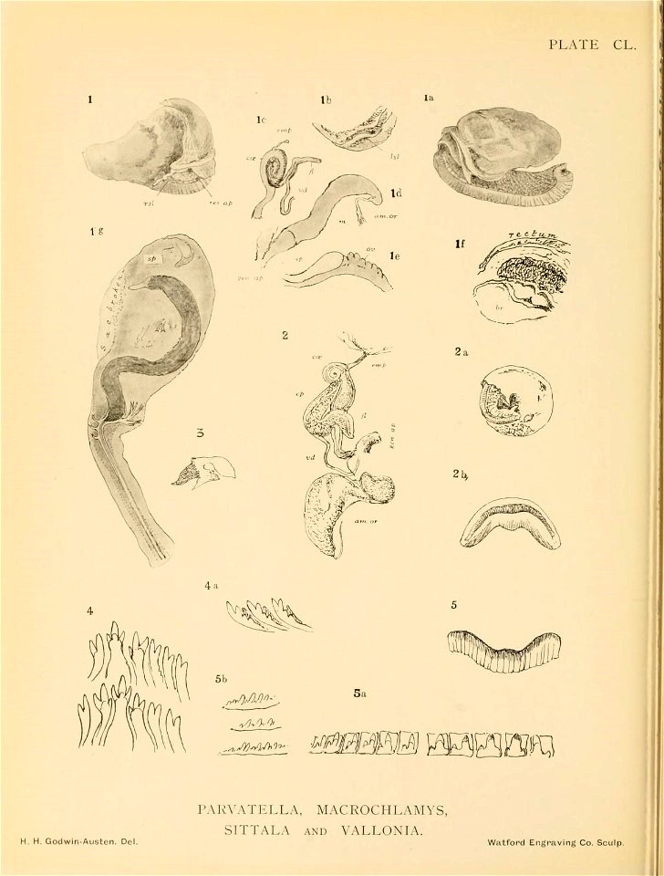 n373_w1150