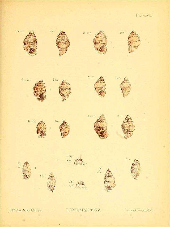 n184_w1150