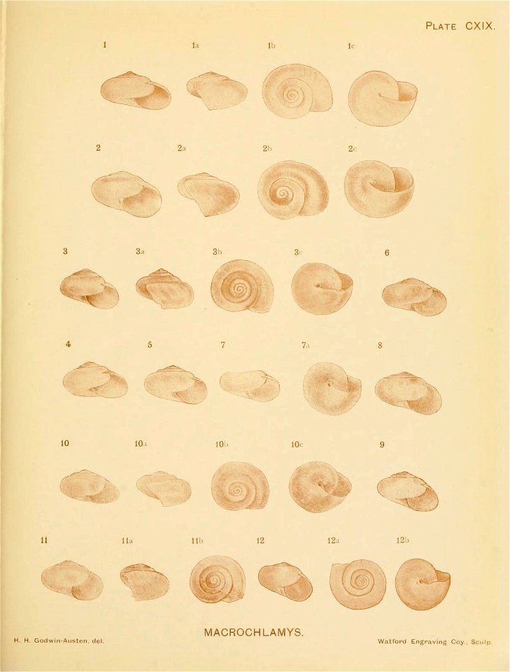 n252_w1150