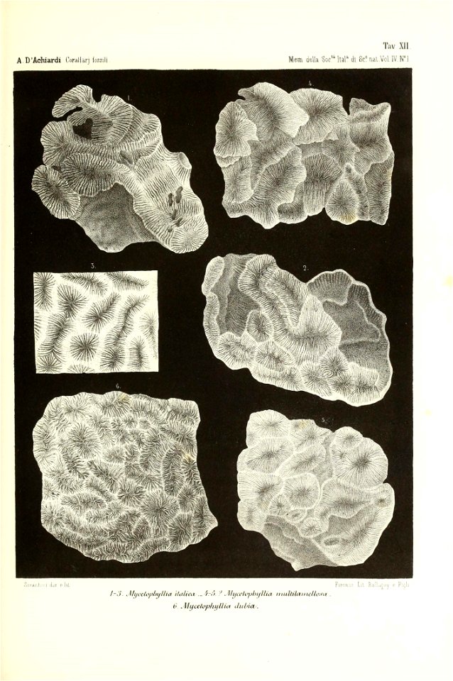 n54_w1150