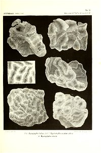 n54_w1150