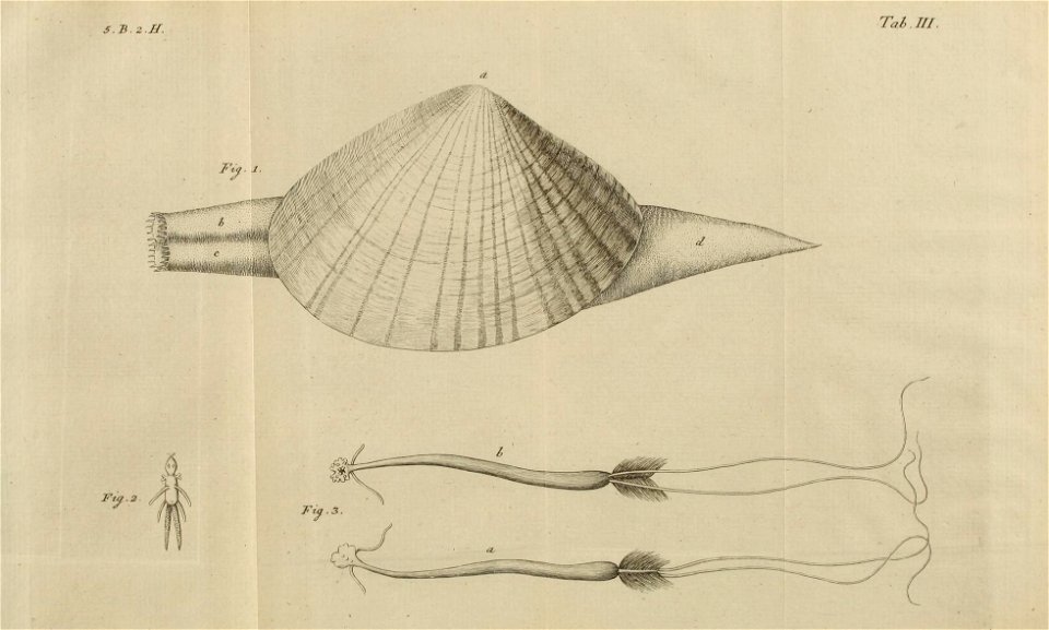 n464_w1150