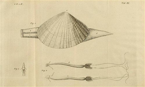 n464_w1150