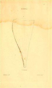 n294_w1150