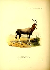 n127_w1150