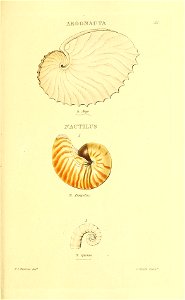 n292_w1150
